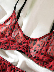 Mesh Leopard Print See-Through Sexy Lingerie 4 Piece Set