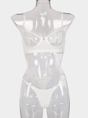 Lace Underwire Mesh Sexy Lingerie Set