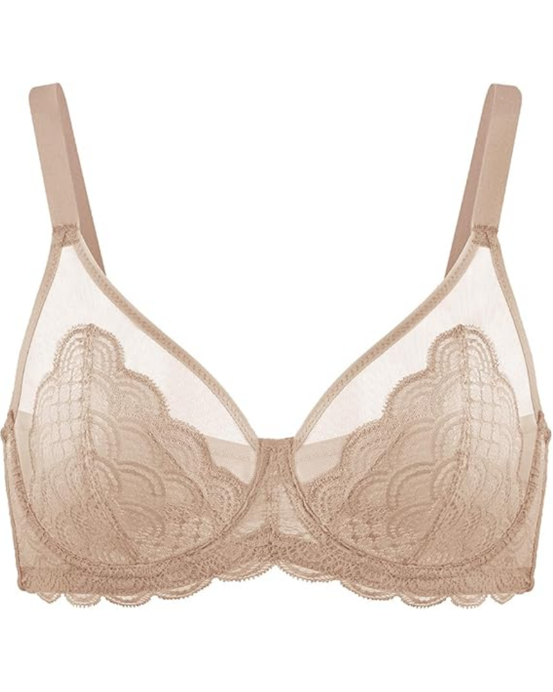 Lace Sheer Mesh Bra