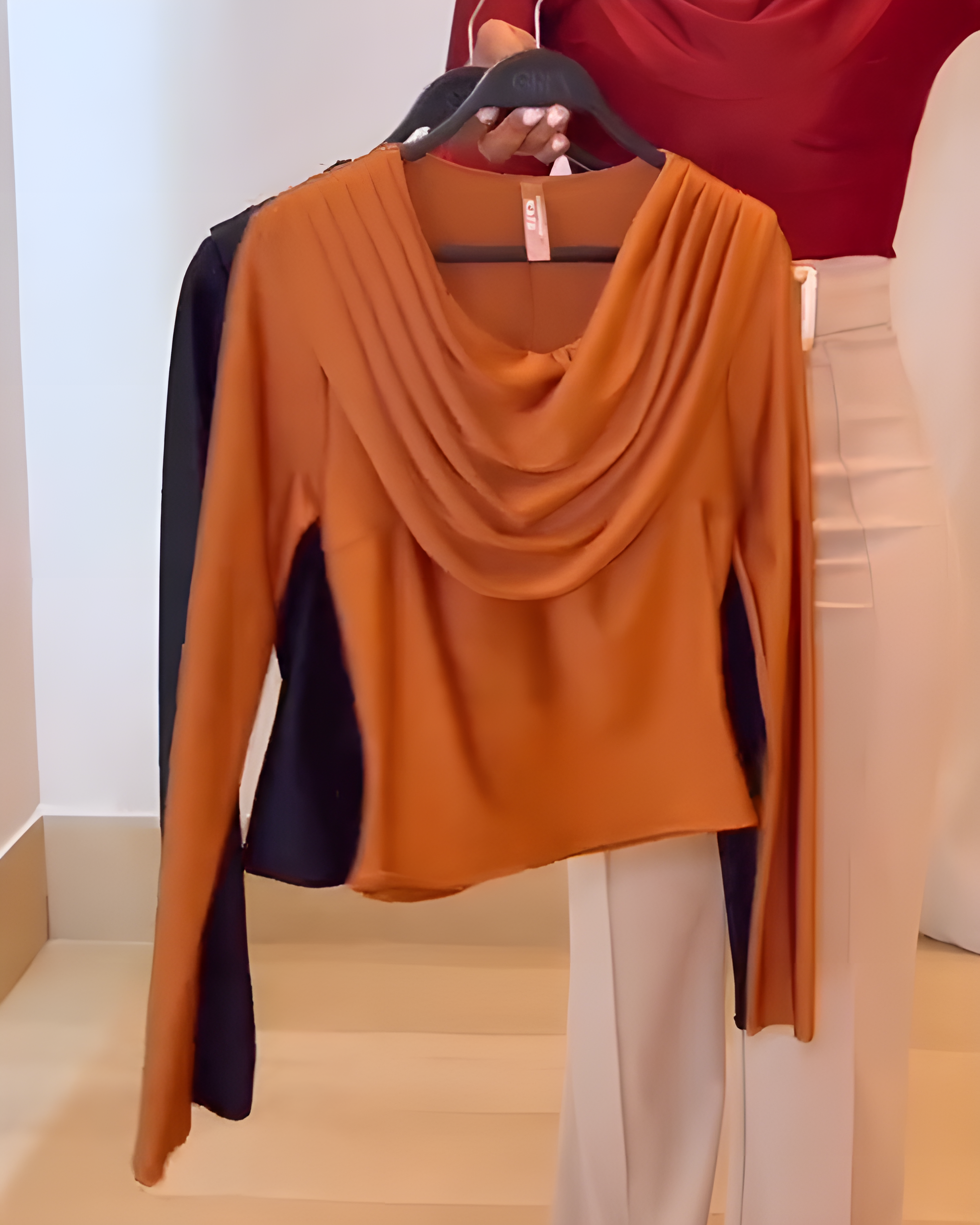 Draped Neck Long-Sleeved Top