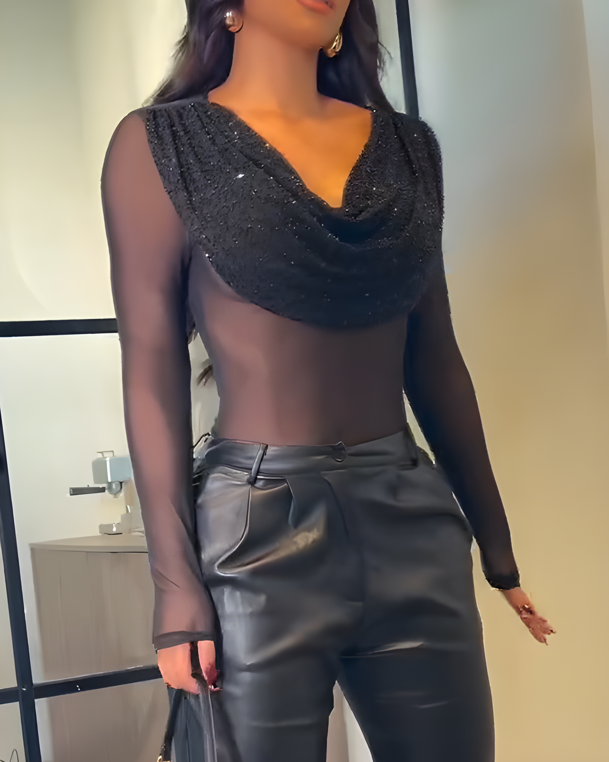 Draped Neck Mesh Long-Sleeved Top