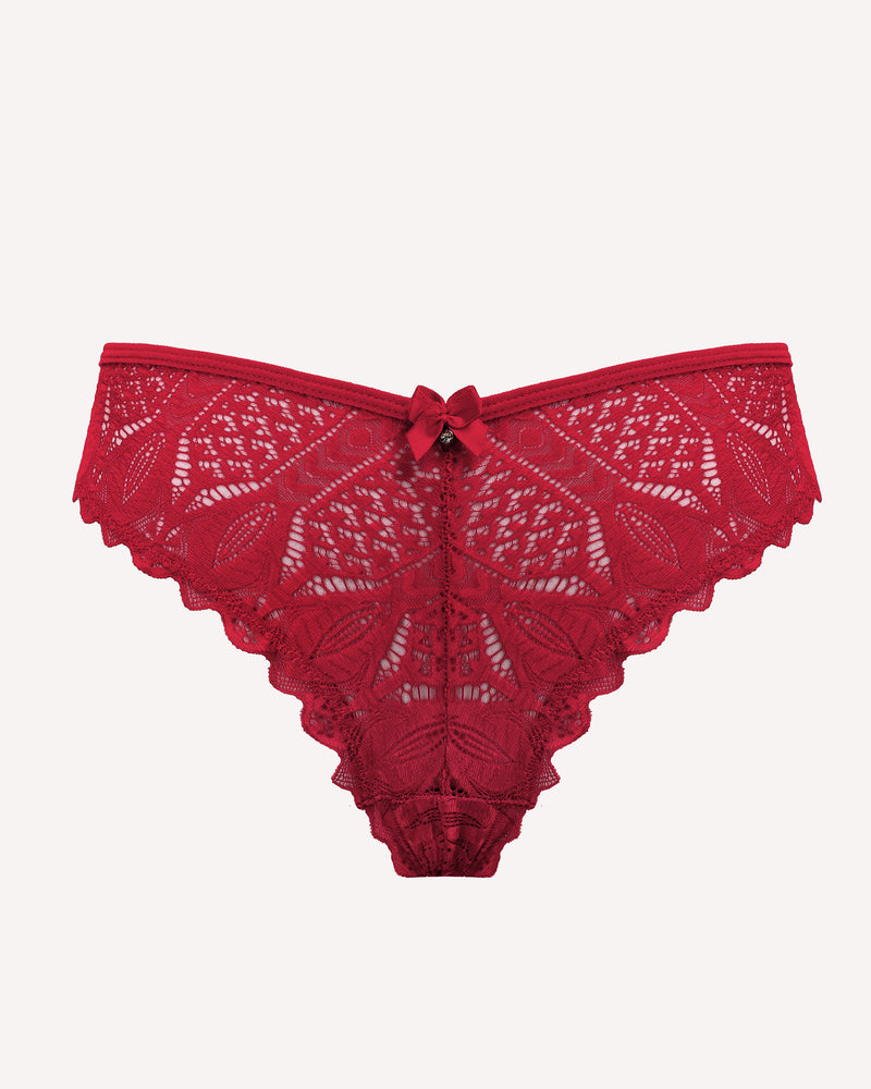Cheeky Lace Criss Cross Panties