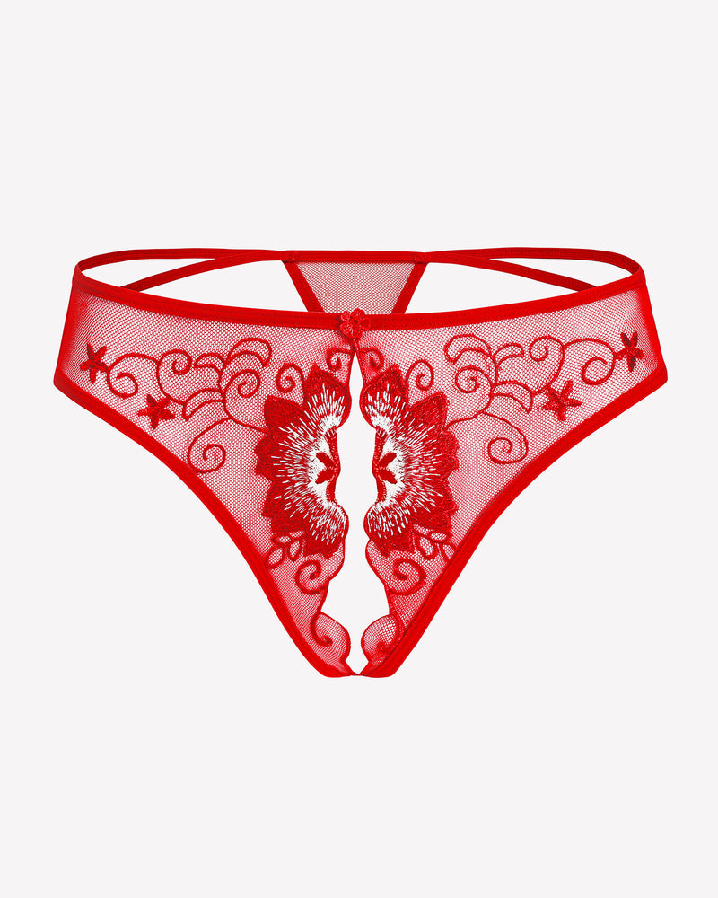 FBriefs Embroidered Thongs Panties