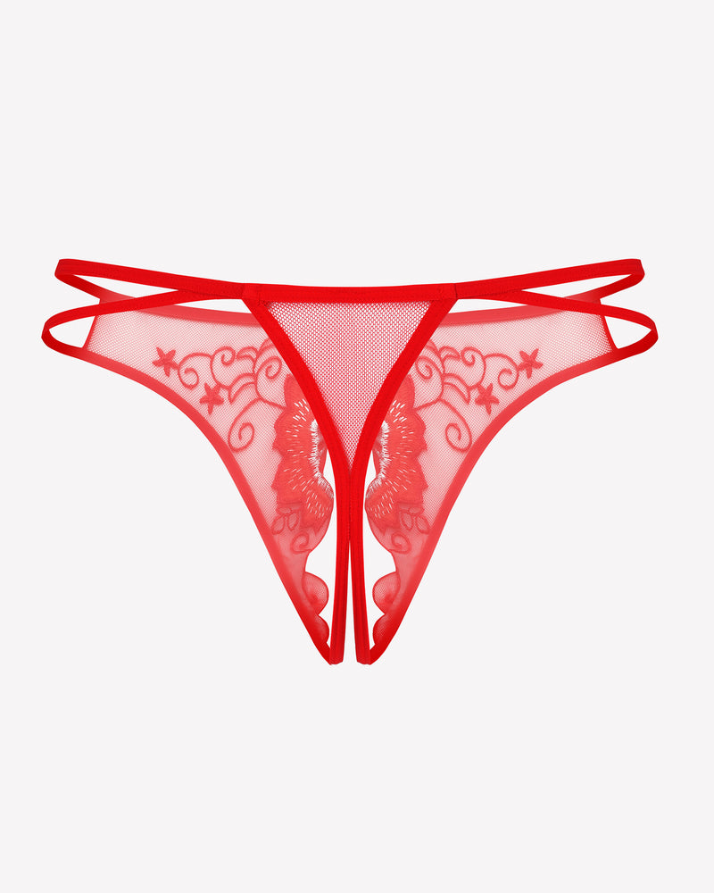 FBriefs Embroidered Thongs Panties