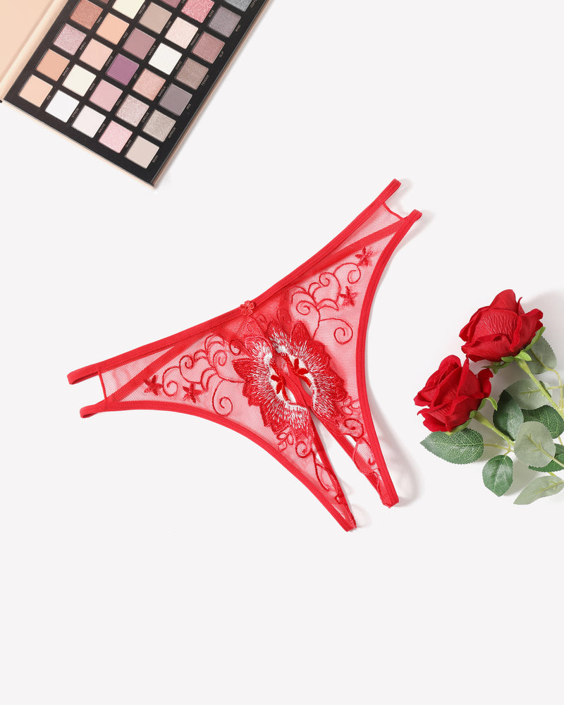 FBriefs Embroidered Thongs Panties