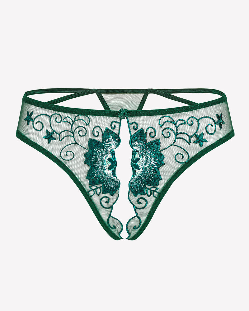 FBriefs Embroidered Thongs Panties