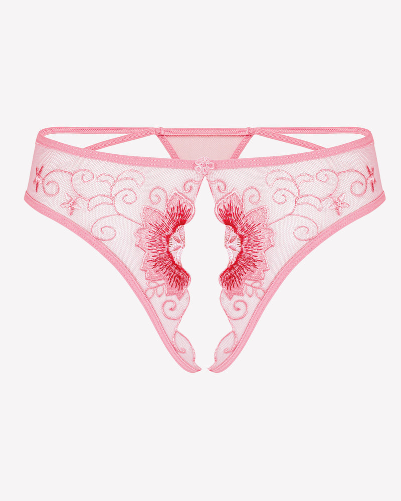 FBriefs Embroidered Thongs Panties