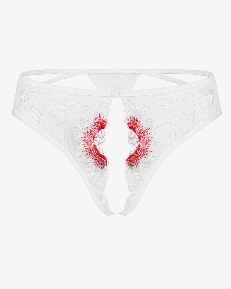 FBriefs Embroidered Thongs Panties