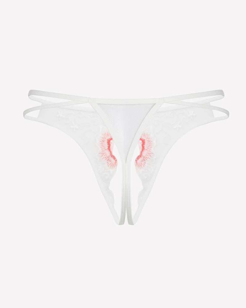 FBriefs Embroidered Thongs Panties