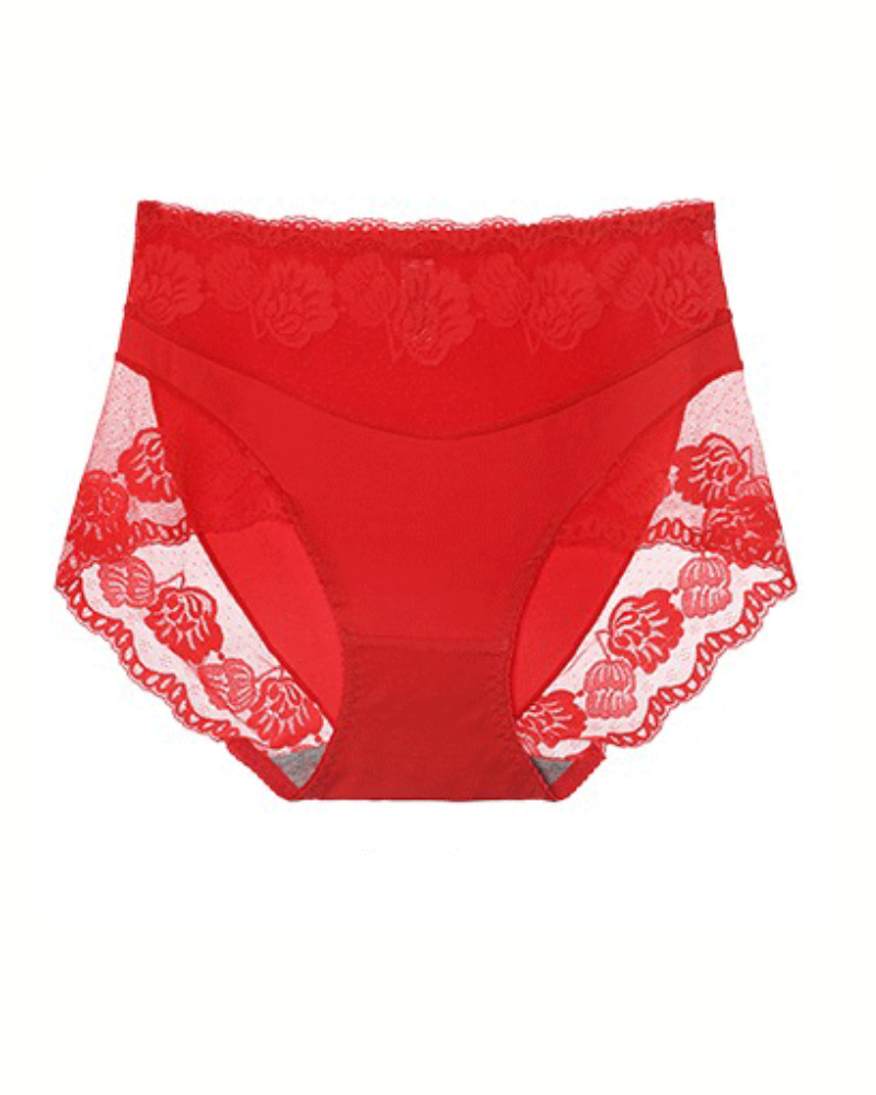 Lace Breathable Plus Size Tummy Control Briefs