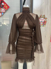 Ruche Sheer Mesh Long Sleeve Bodycon Dress