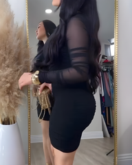 Mesh Long Sleeve Bodycon Mini Dress